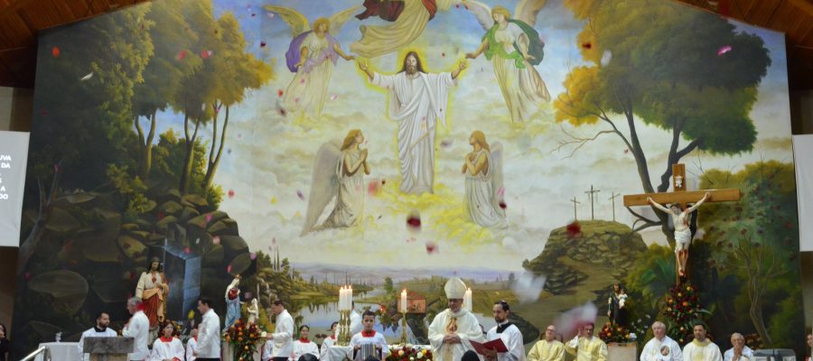 Solenidade de Santa Teresinha